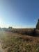 Terreno Agricolo in vendita a Grosseto in via dei ponti neri - 04, a2a9213d-19ac-43a2-9e20-0126cc193799.jpeg