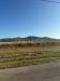 Terreno Agricolo in vendita a Grosseto in via dei ponti neri - 06, 1cbb85e7-dc29-4ad5-acaf-acd67c062a7d.jpeg