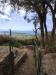 Villa in vendita con giardino a Castiglione della Pescaia in via degli olivi 15 - 05, PANORAMA CAMMINAMENTO.jpeg
