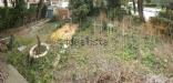 Casa indipendente in vendita con giardino a Grosseto in via bruno buozzi 43 - 05, foto-3.jpg