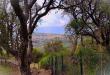 Villa in vendita con giardino a Castiglione della Pescaia in via degli olivi 15 - 03, PRIMA FOTO 1.jpeg