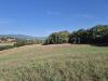 Terreno Agricolo in vendita a Civitella Paganico in localit cornacchiaio snc - 04, foto 4 cornacchiaio.jpeg