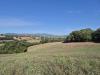 Terreno Agricolo in vendita a Civitella Paganico in localit cornacchiaio snc - 05, foto 5 cornacchiaio.jpeg