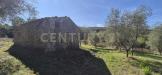 Rustico in vendita da ristrutturare a Civitella Paganico in localit le fonti - 04, annesso 3.jpeg