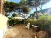 Appartamento bilocale in vendita con giardino a Grosseto in via dello storione 88 - principina a mare - 06, IMG_6532.jpeg