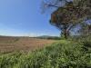 Terreno Agricolo in vendita a Castiglione della Pescaia in loc. badia vecchia - 05, terreno 5.jpeg