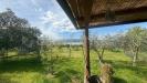 Terreno Agricolo in vendita a Orbetello in loc. quattrostrade - 02, WhatsApp Image 2026-05-25 at 18.04.54 (1)
