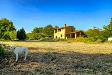 Casa indipendente in vendita ristrutturato a Civitella Paganico in localit� podere la vena 20 - civitella marittima - 06, podere LA vena-6