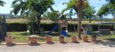 Casa indipendente in vendita con giardino a Orbetello in sr74 148 - san donato - 02, IMG20260612111943