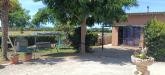 Casa indipendente in vendita con giardino a Orbetello in sr74 148 - san donato - 03, IMG20260612111945