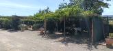 Casa indipendente in vendita con giardino a Orbetello in sr74 148 - san donato - 06, IMG20260612111936