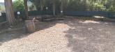 Casa indipendente in vendita con giardino a Gavorrano in localit� sant'andrea 17 - bivio ravi - 06, IMG20260622170506