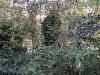 Appartamento bilocale in vendita con terrazzo a Grosseto in via del ponte 18 - istia d'ombrone - 06, IMG20261013183004