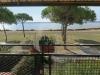 Casa indipendente in vendita con giardino a Orbetello in lungolago bruno buozzi 27 - 02, IMG20261001100345