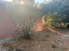Appartamento bilocale in vendita con giardino a Monte Argentario in localit� cala piccola - porto santo stefano - cala piccola - 06, giardino retro2