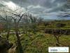 Appartamento in vendita con box a Giove - 08, Foto 8