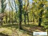Villa in vendita a Montecastrilli - 06, Foto 6