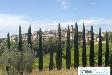 Appartamento bilocale in vendita a Amelia - 10, Foto 10