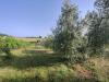 Terreno Agricolo in vendita a Amelia - 05, Foto 5