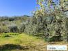 Rustico in vendita a Amelia in rimembranze 22 - 10, Foto 10