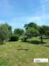 Villa in vendita a Montecastrilli - 04, Foto 4