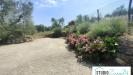 Villa in vendita a Amelia in rimembranze 22 - 10, Foto 10
