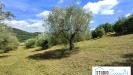 Terreno Agricolo in vendita a Amelia in rimembranze 22 - 03, Foto 3