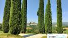 Rustico in affitto con giardino a Amelia in rimembranze 22 - 04, Foto 4