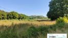 Terreno Agricolo in vendita a Amelia in rimembranze 22 - 04, Foto 4