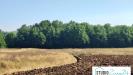 Terreno Agricolo in vendita a Amelia in strada di collicello - 04, Foto 4