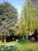 Villa in vendita con giardino a Cerro Maggiore in via magenta 24 - 02, Foto 2