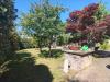 Villa in affitto con giardino a Gallarate - cedrate - 05, giardino
