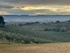 Terreno Agricolo in vendita a Spoltore - 04, Foto 4