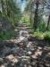 Terreno Agricolo in vendita a Atri in contrada cagno - 09, Foto 9