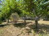 Terreno Agricolo in vendita a Canicattini Bagni in c.da palombara sn - 09, Foto 9