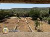 Villa in vendita con giardino a Noto in c.da piano milo snc - 03, Foto 3