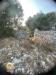 Terreno Agricolo in vendita a Canicattini Bagni in c.da scacciacoppoli/cugno lupo sn - 04, Foto 4