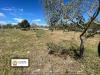 Terreno Agricolo in vendita a Noto in sp4 - 02, Foto 2