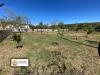 Terreno Agricolo in vendita a Noto in sp4 - 03, Foto 3