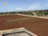 Rustico in vendita con terrazzo a Gagliano del Capo - 05