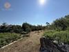 Casa vacanza in vendita con giardino a Alessano - montesardo - 06