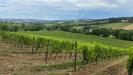 Terreno Agricolo in vendita a San Casciano in Val di Pesa - 02