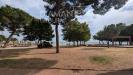 Appartamento in vendita con giardino a Passignano sul Trasimeno - 09