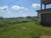 Terreno Agricolo in vendita a Ruffano in via parigi snc - 04, Foto 4
