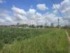 Terreno Agricolo in vendita a Ruffano in via parigi snc - 05, Foto 5