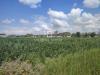 Terreno Agricolo in vendita a Ruffano in via parigi snc - 06, Foto 6