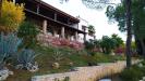 Villa in vendita con giardino a Minervino Murge in via vecchia gravina sc - 06, Foto 6