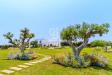 Villa in vendita con giardino a Polignano a Mare in strada comunale pozzo cavalieri snc - 02, Foto 2