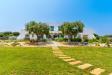 Villa in vendita con giardino a Polignano a Mare in strada comunale pozzo cavalieri snc - 03, Foto 3