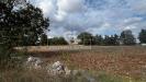Terreno Agricolo in vendita a Gioia del Colle in contrada marzagaglia - 06, Foto 6